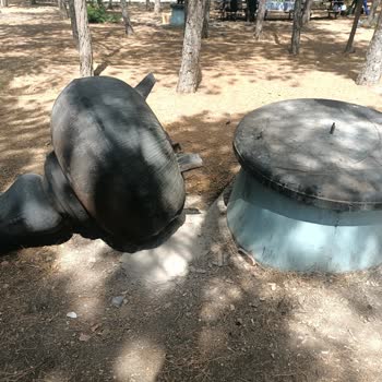 ABB - Ankara Büyükşehir Belediyesi Mavigöl Barbekü Sorunu