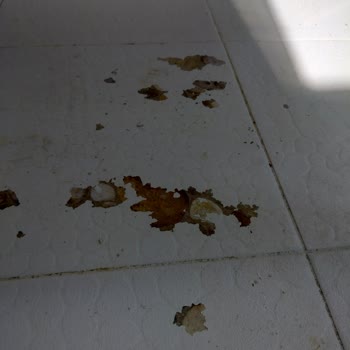 Zemin Boyama Sistemleri Fayans Olan Kısımlardan Boyalar Kalkma Yaptı