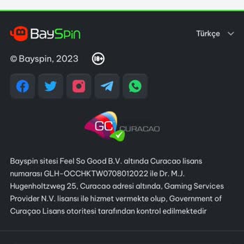 Bayspin Kazandığım Parayı Vermiyor
