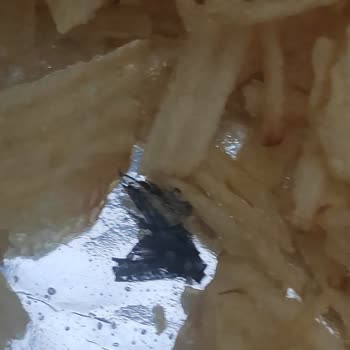 A101 Samba Sade Cips İçinden Sinek Çıktı