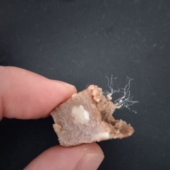 Tatlan Gıda Yaz Helvasının İçinden Çıkan Yabancı Madde!