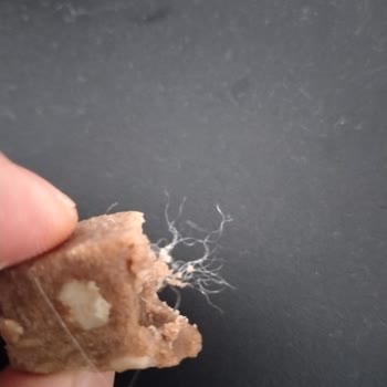 Tatlan Gıda Yaz Helvasının İçinden Çıkan Yabancı Madde!