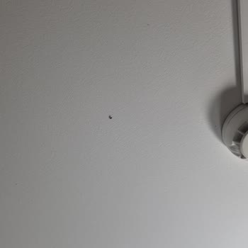 Booking.com Rezervasyon Kabusu: Temizlik Ve Hijyen Sorunları