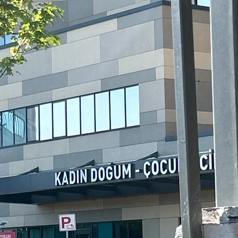 Bursa Şehir Hastanesi Acil Kadın Doğum Hizmetlerinde Yaşanan Sorunlar