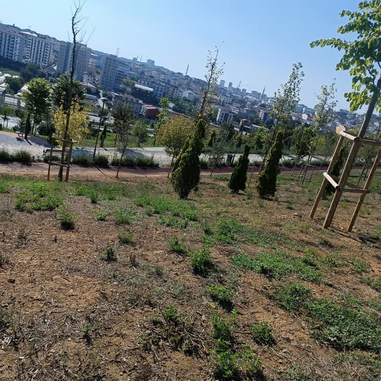 İBB - İstanbul Büyükşehir Belediyesi Aile Çardakları İstiyoruz