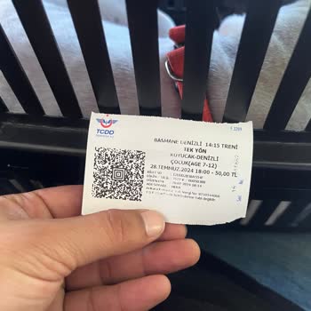 TCDD Pet Taşıma Sorunu