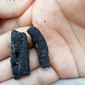 Patos İçinden Siyah Bir Şey Çıktı Yanık Sa Neden İçinde