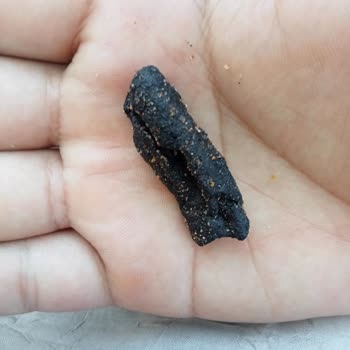 Patos İçinden Siyah Bir Şey Çıktı Yanık Sa Neden İçinde