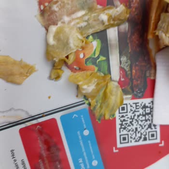 Burger King Menüdeki Taze Olmayan Marul Sorunu