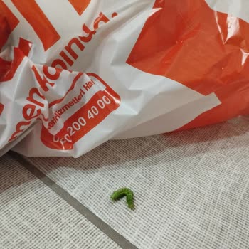 Migros Ürün Kalite Sorunu