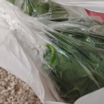 Migros Ürün Kalite Sorunu