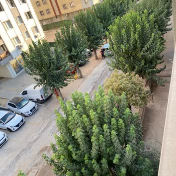 İzmir Büyükşehir Belediyesi İzmir Bayraklı Mansuroğlu Mh 263sokakta 3aydır Asfaltlama Yapılmadı