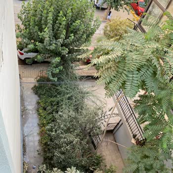 İzmir Büyükşehir Belediyesi İzmir Bayraklı Mansuroğlu Mh 263sokakta 3aydır Asfaltlama Yapılmadı