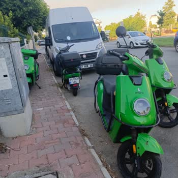 Martı Evimin Önünden Çekin