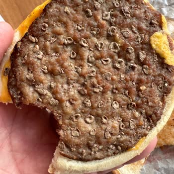 Burger King Hamburger Etindeki Bakteriler