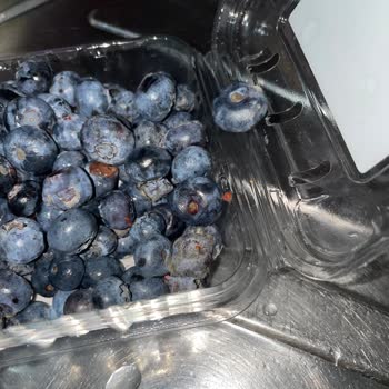 Macro Center Küflü Ürün, Kontrolsüzlük, Saygısızlık.