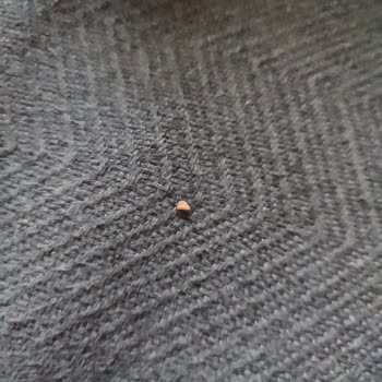 ebebek Bebek Gıdalarında Yabancı Madde Şikayeti