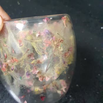 Kupa Dünyam Duyarsızlığı