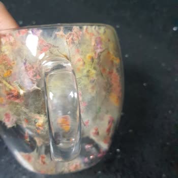 Kupa Dünyam Duyarsızlığı