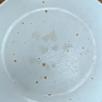 Köfteci Yusuf Hizmet Kalitesi Sorunu