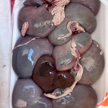 Migros Bozuk Et Gönderdi