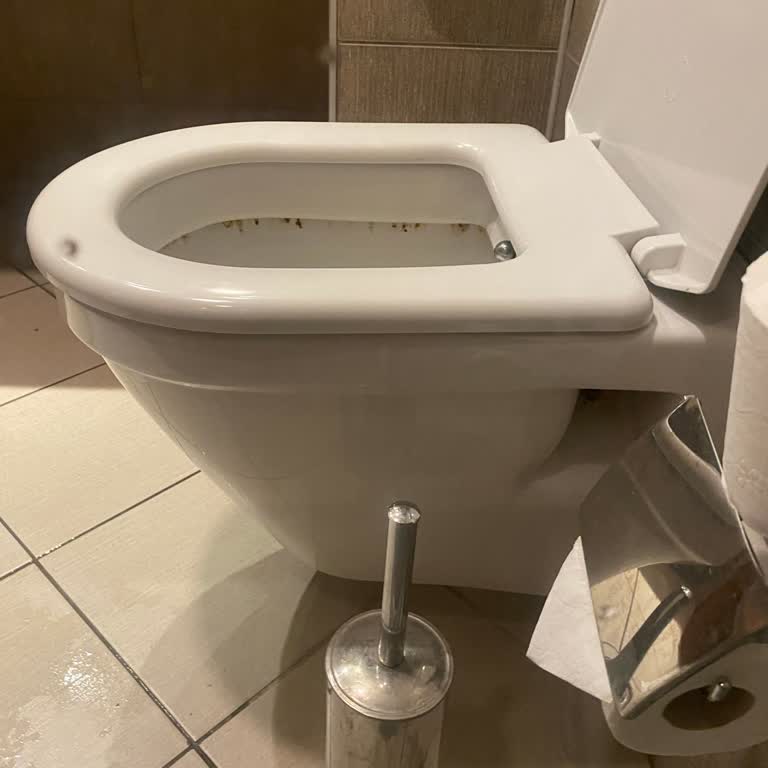 Kamelya Collection Exclusive Hotels Temizlik Sıfır, Lütfen Özen