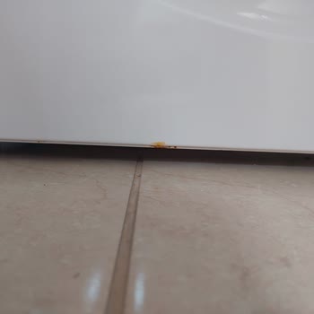 Siemens Marka Çamaşır Makinesi 5. Ayda Paslandı