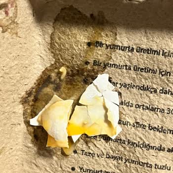 Getir Bozuk Ürün Getirdi