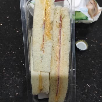 MR. No (Misterno) Kaşar Salam Sandviç Küflü