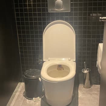 Marmara Park Paribu Cineverse Tuvaletleri Kullanılmaz Halde