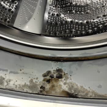 Bosch Çamaşır Makinesi Lekelenme