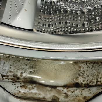 Bosch Çamaşır Makinesi Lekelenme
