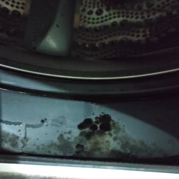 Bosch Çamaşır Makinesi Lekelenme