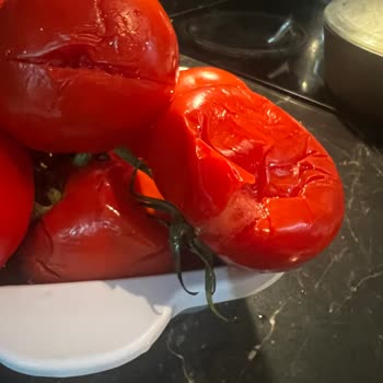 Şok Market Siparişim Hasarlı Şekilde Geldi