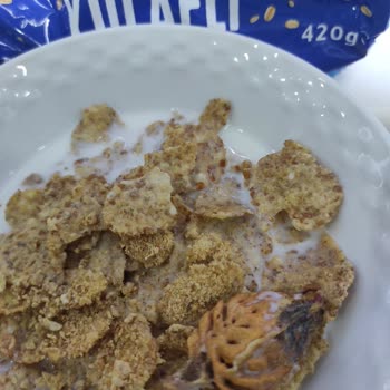 Nestle Nesfit Yulaflı Sade Gevrek İçerisinden Şeftali Çekirdeği Çıktı!