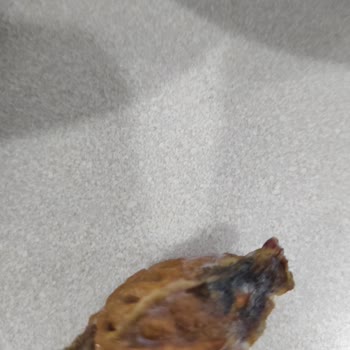 Nestle Nesfit Yulaflı Sade Gevrek İçerisinden Şeftali Çekirdeği Çıktı!