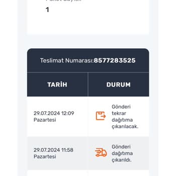 Sürat Kargo Kargoyu Dağıtıma Çıkarmıyor