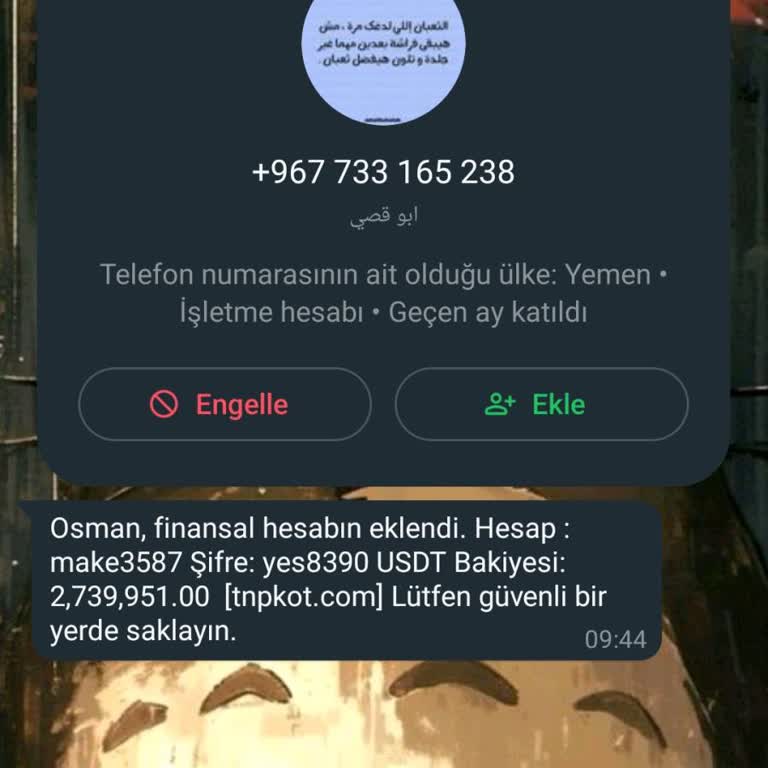 WhatsApp Finansal Hesabın Var Yanıltmacası