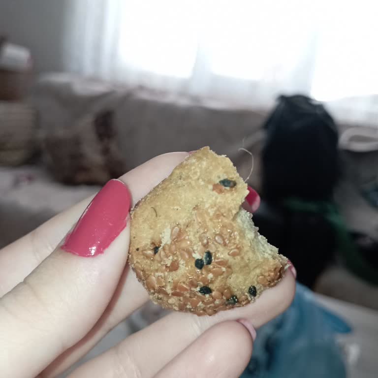 Tatbak'tan Aldığım Kuru Pastanın İçinden Kıl Çıktı