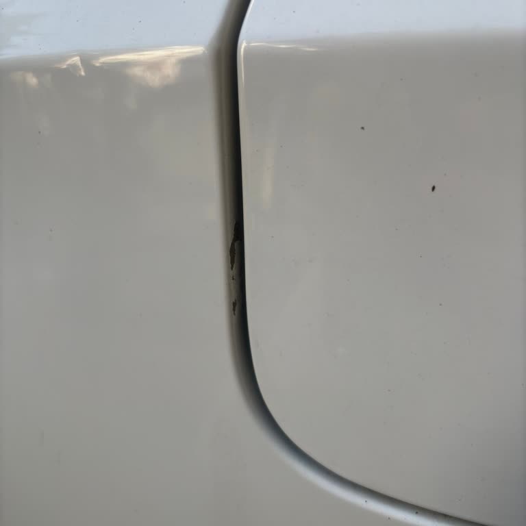 Honda Civic Boya Atması!