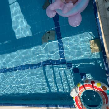Jolly Tur Veya Alanya A 11 Otel Masraflarımı Karşılasın