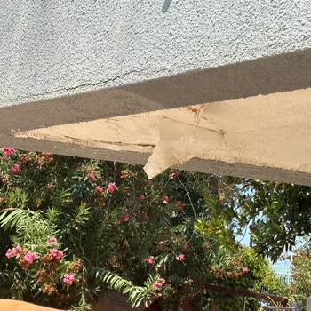 Jolly Tur Veya Alanya A 11 Otel Masraflarımı Karşılasın