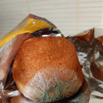 Torku Favorimo Kek Küflü Ve Kuru Çıktı