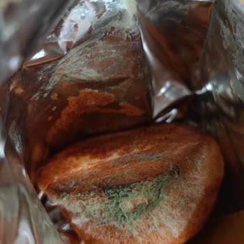 Torku Favorimo Kek Küflü Ve Kuru Çıktı