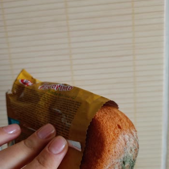 Torku Favorimo Kek Küflü Ve Kuru Çıktı