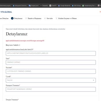 VFS Global Danimarka Error Message