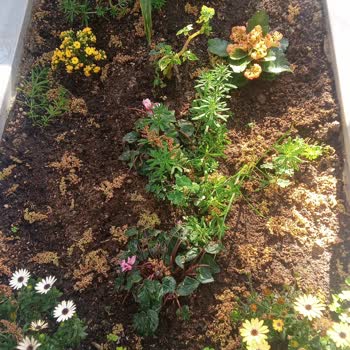 İBB - İstanbul Büyükşehir Belediyesi Bakımsız Mezarlıklar Hakkında