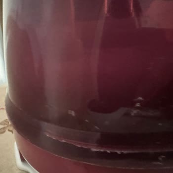 Tefal Sv9201 Kazanlı Ütü Kazanı Kalitesi Çatladı Ve Garanti Dışıymış