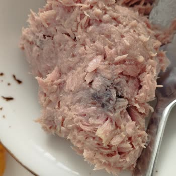 Dardanel Ton Problemli Çıkan Ürünleri