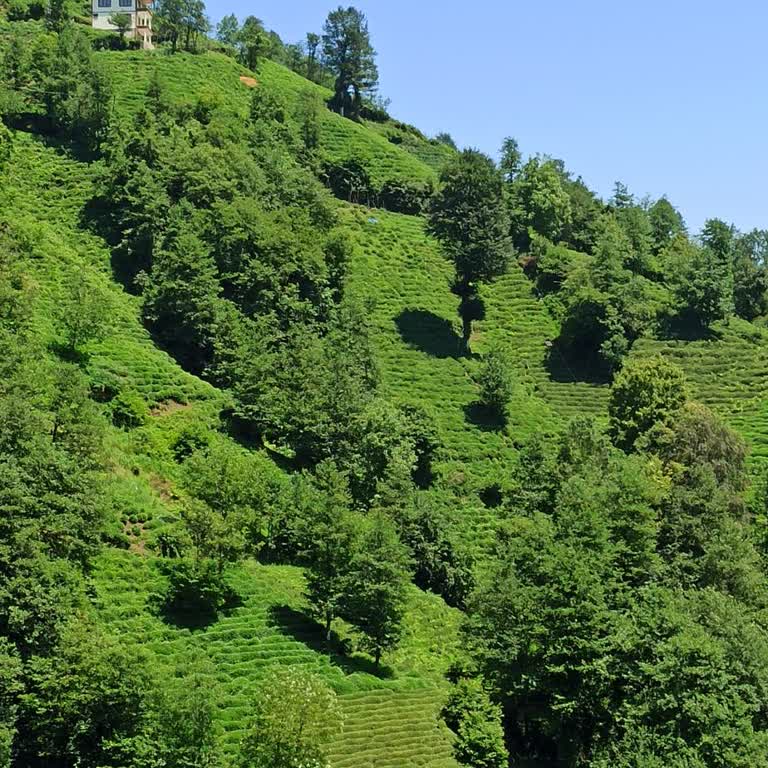 Çoruh Edaş Elektrik Sayacı Takılmadı
